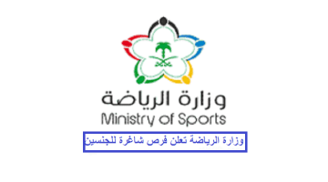 وزارة الرياضة تعلن برنامج تدريب علي رأس العمل للجنسين