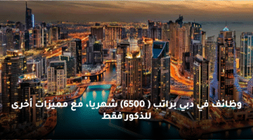 وظائف للذكور والاناث براتب 10,000 الى 14,000 درهم في دبي