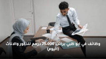 وظائف في ابو ظبي براتب 25،000 درهم للذكور والاناث (اليوم)