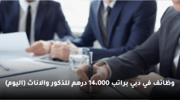 وظائف في دبي براتب 14،000 درهم للذكور والاناث (اليوم)