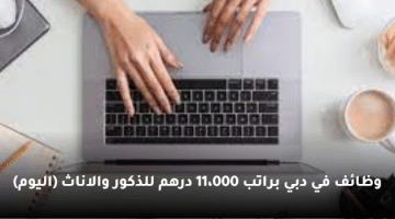 وظائف في دبي براتب 11،000 درهم للذكور والاناث (اليوم)