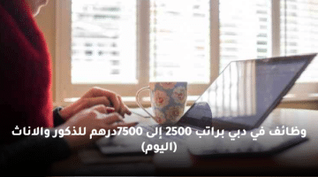 وظائف في دبي براتب 2500 إلى 7500درهم للذكور والاناث (اليوم)