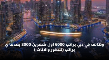وظائف في دبي براتب 6000 اول شهرين 8000 بعدها ي براتب (للذكور والاناث )
