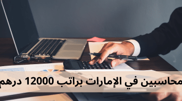 وظائف محاسبين في الإمارات لكل من الجنسين براتب 12,000 درهم