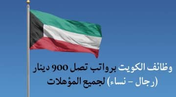 فرص عمل في الكويت برواتب تصل 900 دينار (رجال – نساء) لجميع المؤهلات